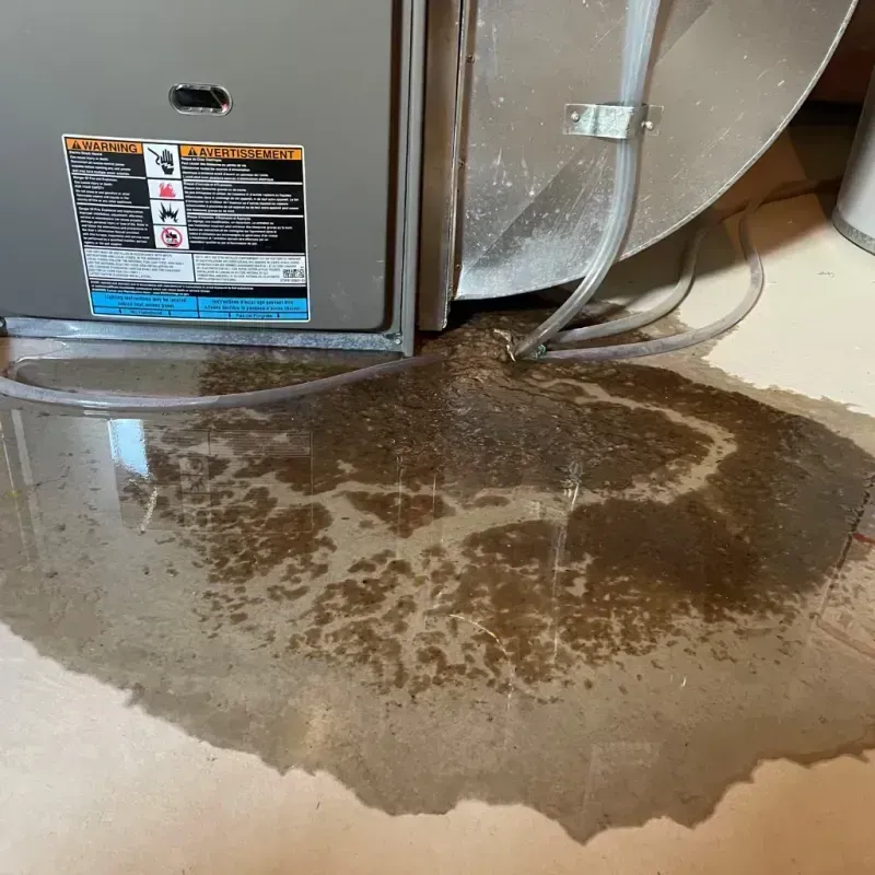 Appliance Leak Cleanup in West Odessa, TX